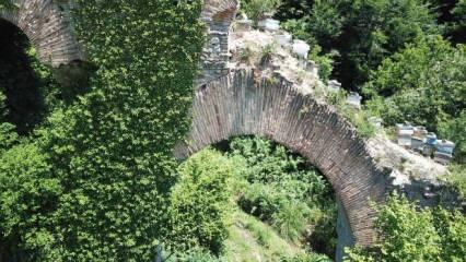 Roma döneminden kalma su kemerini tahrip edip üzerine kovanları koydular