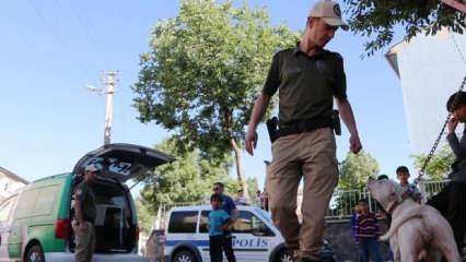 Sokağa bırakılan Pitbull'u evine götürürken polise yakalandı