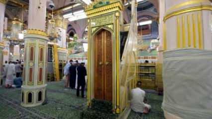 Hacılar Medine'de kutsal mekanları ziyaret etti