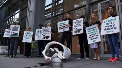 New York'ta Starbucks karşıtı protesto