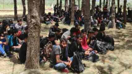 Ülke genelinde son bir haftada 5 bin 68 düzensiz göçmen yakalandı