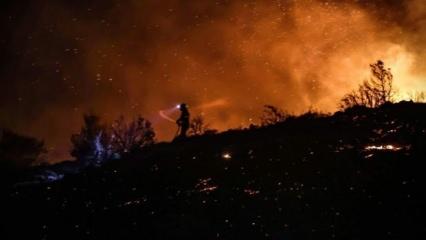 İngiltere, Fransa, İspanya ve Yunanistan... Avrupa'da orman yangınları durdurulamıyor