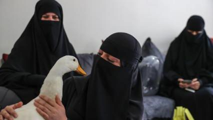 Başakşehir'de göletten ördek çaldıkları iddiasıyla gündeme gelen kadınlardan açıklama