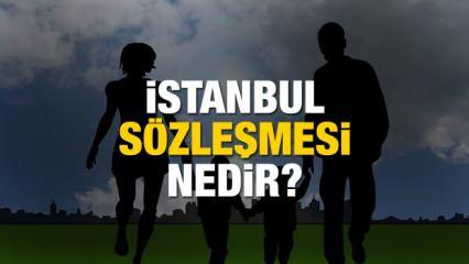 İstanbul Sözleşmesi nedir? Aile birliğini ilga eden sözleşmenin esasları ve tartışmalı maddeleri