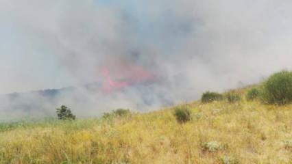Şarköy'de makilik yangını; 5 hektar yandı