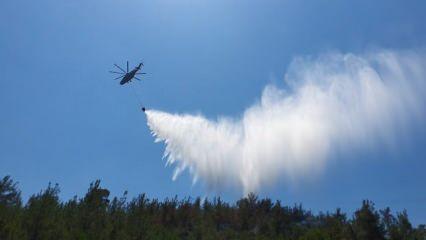 Balıkesir'de orman yangını: Havadan ve karadan müdahale başladı