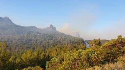 Beykoz'da orman yangını! Çok sayıda itfaiye sevk edildi