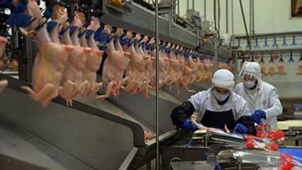 Çin'e beyaz et ihracatında yüzde 353'lük büyük artış