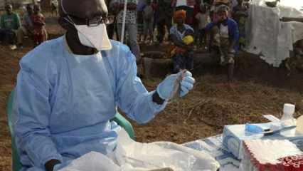 Nijerya'da Lassa virüsü can almaya devam ediyor