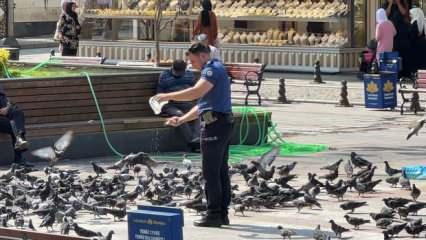 Sultanbeyli’de polis memuru, güvercinleri her gün ekmek kırıntıları ile besliyor