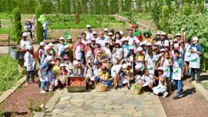Yedikule Bah&ccedil;e&rsquo;de hasat şenliği