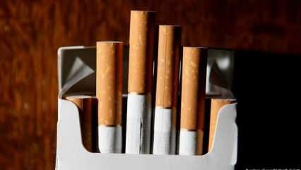 Yeni Zelanda'dan sigara yasağı: Dünyada bir ilk
