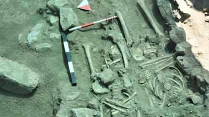 Ayasuluk kazılarında 6 insan iskeleti daha bulundu