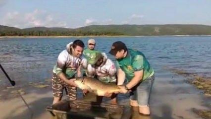 Ömerli Barajı’nda dev sazan balığı görenleri şaşırttı! Tam 22 kilo 500 gram