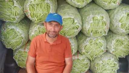 Satış fiyatı 6-7 TL'ye d&uuml;şen fasulye bu kez &uuml;reticisini &uuml;zd&uuml;