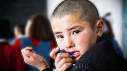 Kırgızistan-Tacikistan sınırına Rus okulu açılıyor