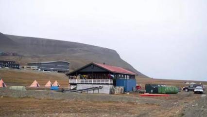 Norveç’te kampa girerek Fransız turisti yaralayan kutup ayısı öldürüldü