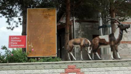 Erzincan’da bu sudan içenin şifalı bulduğu söyleniyor