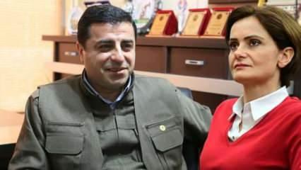 HDP'li Selahattin Demirtaş Canan Kaftancıoğlu'na sahip çıktı!