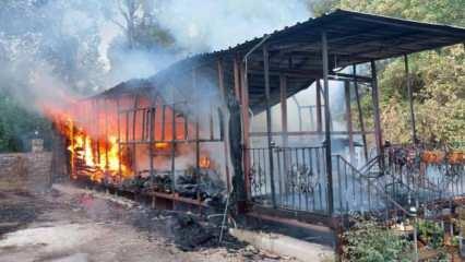 Muğla’da bungalov ev, alev alev yandı   