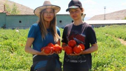 Ankaralı çiftçiden üniversiteli kimyager kızlarla 'ortaklık': Tarlasının verimi arttı