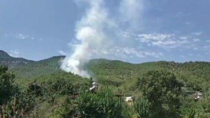 Hatay'da orman yangını: Havadan müdahale başladı