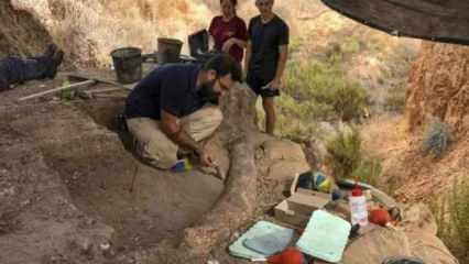 İsrail'de 500 bin yıllık dev fildişi keşfedildi