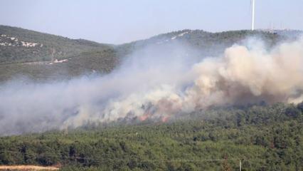 Manisa'da orman yangını kontrol altına alındı! 