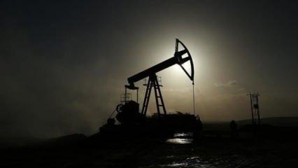 Rusya'dan petrol açıklaması: Daha fazla göndereceğiz