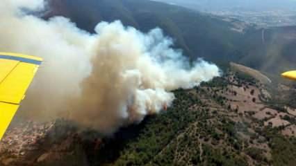 Balıkesir’de orman yangını! Yangına havadan ve karadan müdahale ediliyor