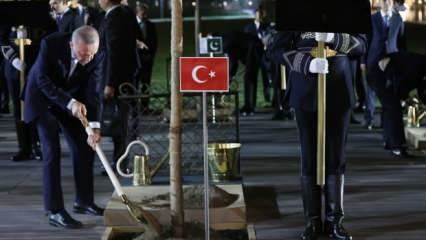 Başkan Erdoğan, Semerkant'ta ağaç dikti