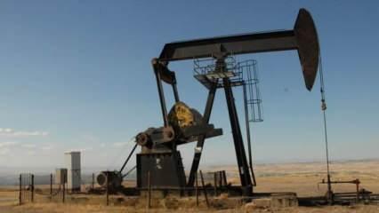 Brent petrol düşüşte