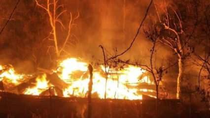 Şavşat'ta 3 ev, 3 ahır ve 4 samanlık yandı, 12 büyükbaş öldü