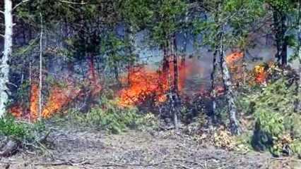 Tokat’ta orman yangını! Bölgeye çok sayıda ekip sevk edildi