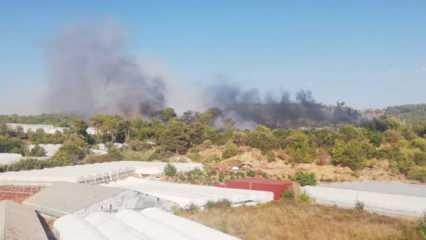 Antalya’nın Kumluca ilçesinde orman yangını çıktı!