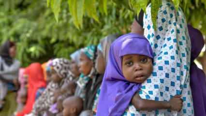BM'den Nijerya'ya 10 milyon dolar yardım