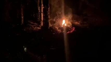 Bolu'da, orman yangını çıkarmaya çalıştığı iddiasıyla 2 şüpheli gözaltına alındı