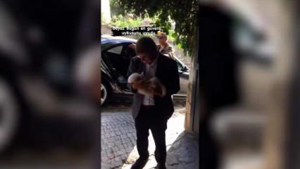 Gelecek Partisi lideri Ahmet Davutoğlu, yavru köpeği kucağında sallayarak uyuttu!