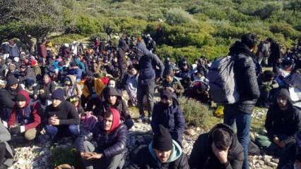 İzmir'de 343 göçmen yakalandı, 6 organizatör tutuklandı!