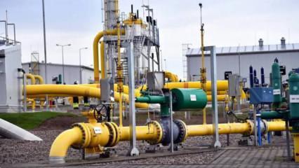 'Baltic Pipe' doğal gaz boru hattından gaz akışı başladı