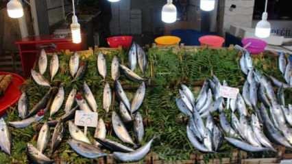 Bandırma'da olumsuz hava şartları balık fiyatlarını etkiledi