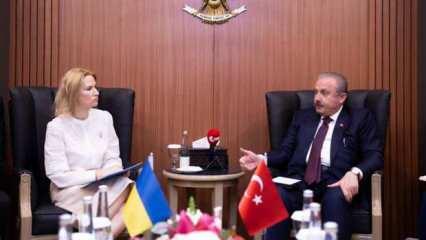 TBMM Başkanı Şentop Ukrayna Meclis Başkan Yarımcısı Kondratiuk ile görüştü
