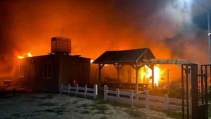 Çiftlikte korkunç yangın! Hayvanları ve tonlarca buğday yandı