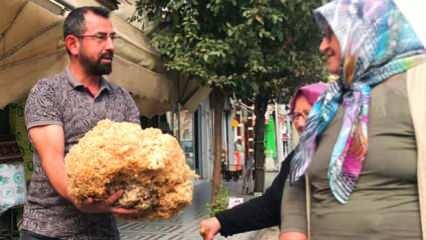 Kastamonu'da bulunan 6 kiloluk devasa mantar ilgi odağı oldu