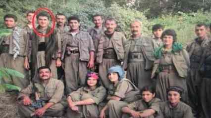 Son dakika haberi: PKK'ya sınır ötesinde bir darbe daha: Ökkeş Deveri öldürüldü!