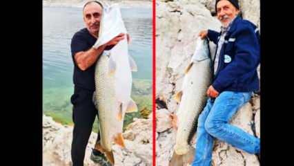 Elazığ’da balıkçıların oltasına devasa bir balık takıldı