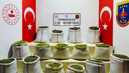 Lice kırsalında 565 kilogram uyuşturucu ele geçirildi 