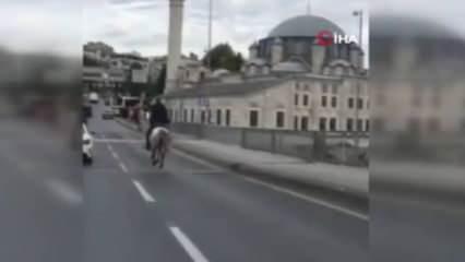 İstanbul'da inanılmaz görüntü: Bir kişi Atatürk Köprüsü'nden atla geçti