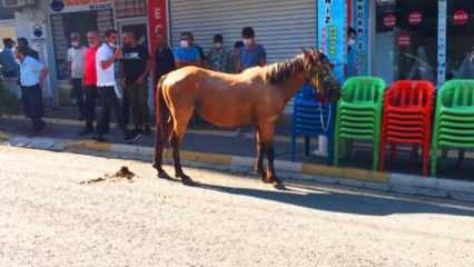 Mardin’de feci ölüm! At arabasına bindi, canından oldu