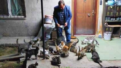 Kedilerin Babası lakaplı Cemal amca, kendi imkanlarıyla 80 tane kedi besliyor